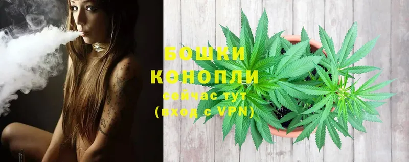 KRAKEN ССЫЛКА  Ялуторовск  Шишки марихуана SATIVA & INDICA 